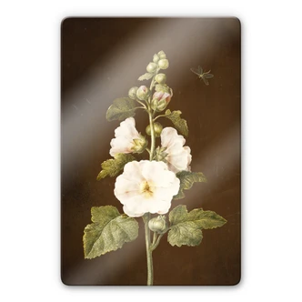 Glasbild Dietzsch - Stockrose 