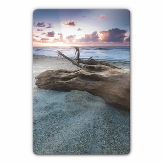 Tableau en verre - Vieux tronc d'arbre 