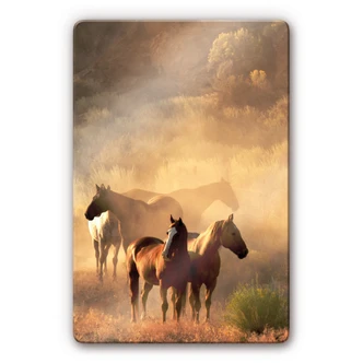 Glasschilderijen Paarden 