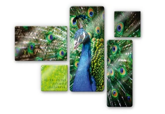 Tableau en verre - Créature de la nature (5 parties) 