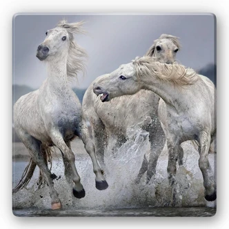 Glasschilderij Keates - Move Over 