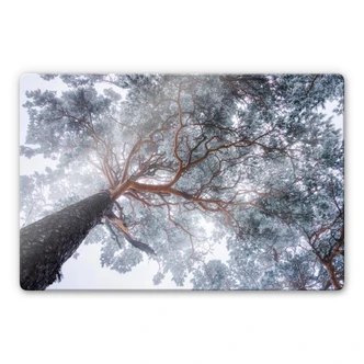 Glasbild Krivec - Baum im Winter 