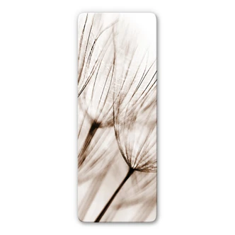 Tableau en verre - Aigrettes de Pissenlit - Panorama 