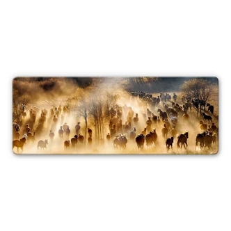 Glasschilderij Zhu - Wilde Paarden - panorama 
