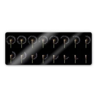 Tableau sur verre Lionse - Histoire d'un pissenlit - Panorama 