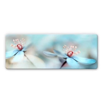 Tableau sur verre Westum - Fleurs délicates 
