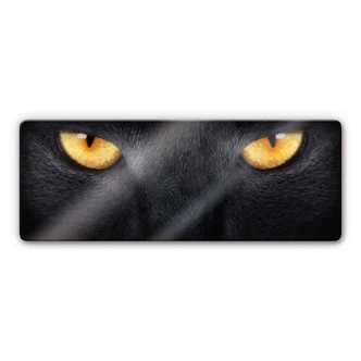 Tableau en verre - Yeux de Chats 2 