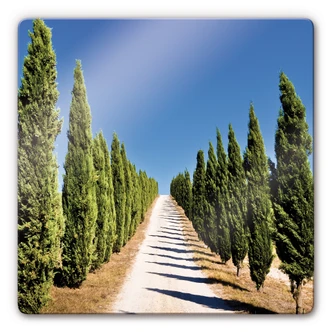 Tableau en verre - Chemin de Cyprès 