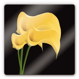 Tableau en verre - Lys Calla 02 
