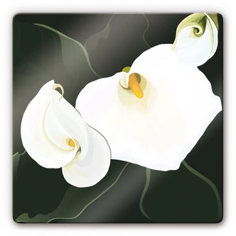 Tableau en verre - Lys Calla 03 