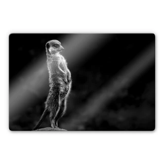 Glasbild van Son - Wachsamkeit 