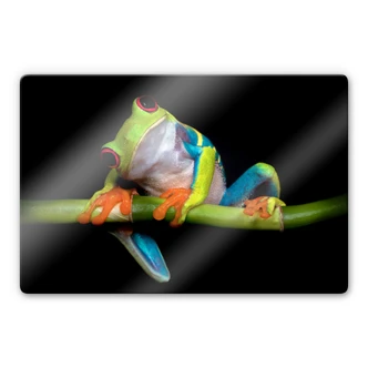 Glass Print Valverde - Green Frog 