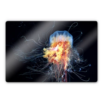 Tableau sur verre Semenov - Amazing Jellyfish Tableau sur verre Semenov - Amazing Jellyfish