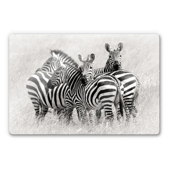 Glasbild Trubitsyn - Zebras in der Savanne 