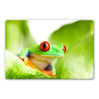 Rød-øjet løvfrø - Glaskunst 