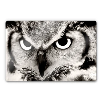 Tableau en verre - Hibou fier 
