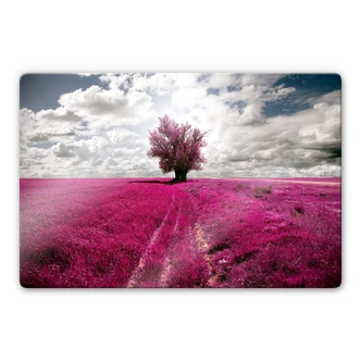 Glasbild The Lonely Tree 