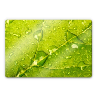 Tableau en verre - Perles d'eau Tableau en verre - Perles d'eau