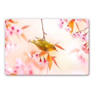 Birdsong in cherry blossom Glass art 