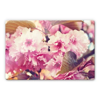 Tableau en verre - Fleurs de cerisier vintage Tableau en verre - Fleurs de cerisier vintage