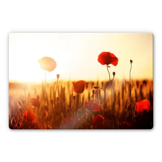 Sun in the poppy field Glass art Sun in the poppy field Glass art