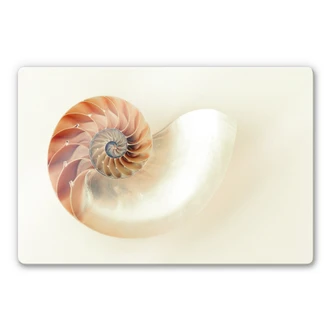 Nautilus Glass art 