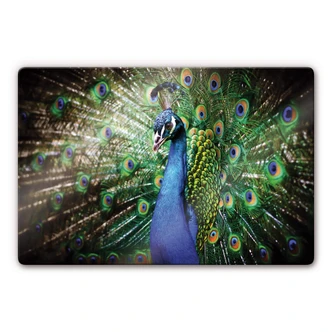 Tableau en verre - Paon 