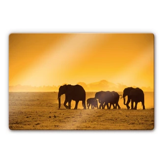 Elephants Silhouette Glass art 