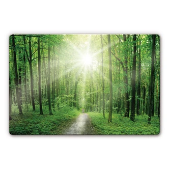 Sunny Forest Glass art 