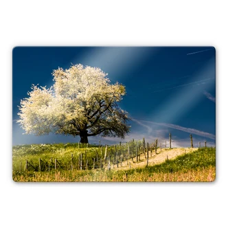 Blooming April Glass art Blooming April Glass art