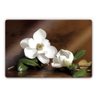 Tableau en verre - Branches de Magnolia 