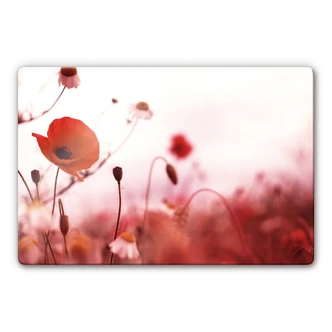 Tableau en verre - Coquelicots 
