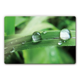 Tableau en verre - Nature 4 