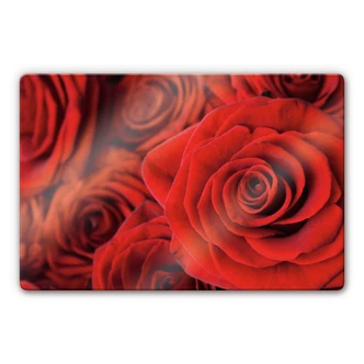 Tableau en verre - Rose 
