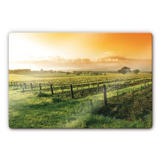 Glasbild Wein im Sonnenuntergang 