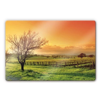 Paesaggio con vigneti 