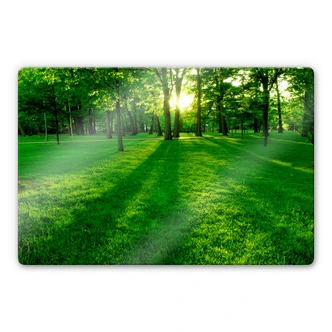 Glasbild Park im Grünen 