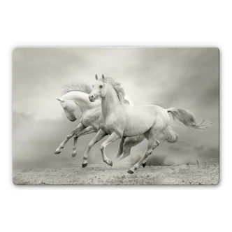 Glasschilderijen Paarden in Galop 