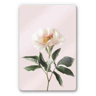 Glasschilderij Sisi & Seb - Delicate Flower 