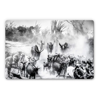 Glasbild Tagliarino - Ziegenherde in Afrika 