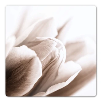 Tableau en verre - Tulipe en détail - carré 