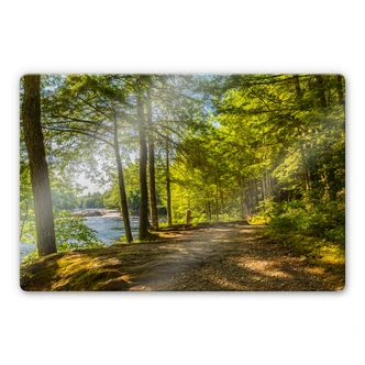 Glasschilderij Bosweggetje 