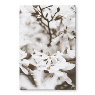 Tableau sur verre Annie - Jasmin 