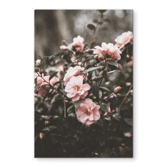 Glasschilderij Annie - Rozenstruik 