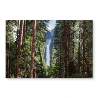 Glasschilderij Colombo - Waterfall Forest 