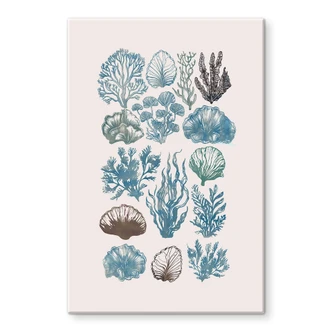 Glass Wall Art Filigree Seaweed and Shells | Maritime Illustration - casa cartissi 