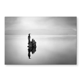 Glasbild Digalakis - Eleganter Wasservogel 