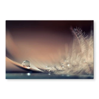Tableau en verre Story of a Waterdrop - Dmitry 