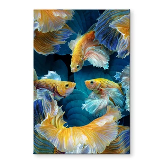 Tableau sur verre Egger - Poisson coloré 