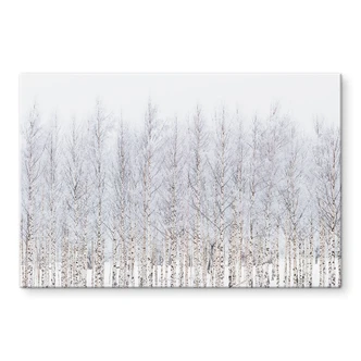 Tableau en verre Forêt de bouleaux en hiver - EMELIEmaria 